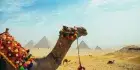 Excursión A las Pirámides De Guiza Menfis Y Saqqara